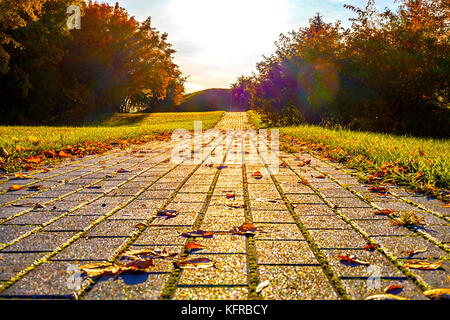 Sonnendurchfluteter Herbstweg mit gefallenen Blättern und hellem Laub Stockfoto