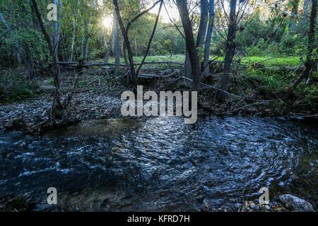 River. Cuenca los Ojos in Sonora Mexiko. Private Reserve, Priorität Schutzbereich für die Erhaltung der Natur und Tierwelt in Agua Prieta, Mexiko Stockfoto