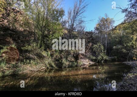 River. Cuenca los Ojos in Sonora Mexiko. Private Reserve, Priorität Schutzbereich für die Erhaltung der Natur und Tierwelt in Agua Prieta, Mexiko Stockfoto