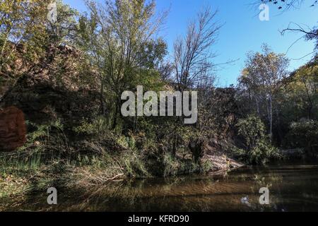 River. Cuenca los Ojos in Sonora Mexiko. Private Reserve, Priorität Schutzbereich für die Erhaltung der Natur und Tierwelt in Agua Prieta, Mexiko Stockfoto