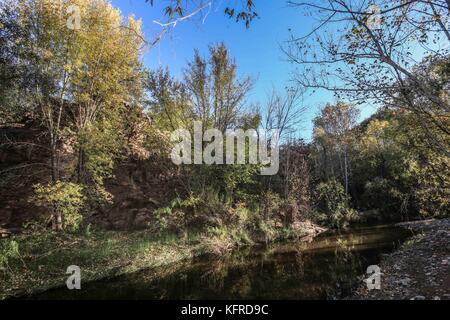 River. Cuenca los Ojos in Sonora Mexiko. Private Reserve, Priorität Schutzbereich für die Erhaltung der Natur und Tierwelt in Agua Prieta, Mexiko Stockfoto