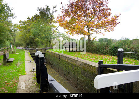Wey und Arun Kanal, in der Nähe von Loxwood Stockfoto