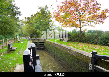 Wey und Arun Kanal, in der Nähe von Loxwood Stockfoto