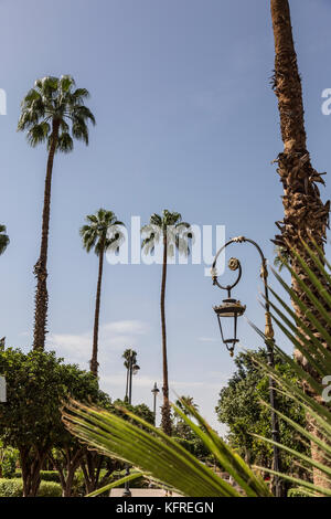 Marrakesch, Marokko, 14. Oktober, 2017: der Koutoubia Moschee im Zentrum von Marrakesch, im südlichen Teil der Medina von Marrakesch. Es im xii cen gebaut wurde Stockfoto