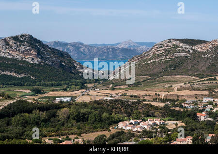 Korsika: Die Landschaft der Haute Corse mit dem Mittelmeer im Hintergrund und die Berge von grünen Hügeln, Weinbergen und Weizenfeldern Stockfoto
