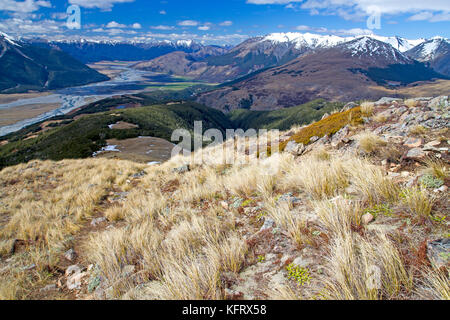 Blick entlang der waimakariri Tal von bealey in der Arthur's Pass National Park Sporn Stockfoto