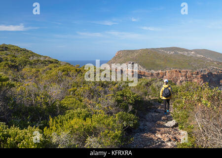 Frau wandern in Robberg Naturreservat, Plettenberg Bay, Western Cape, Südafrika (mr) Stockfoto