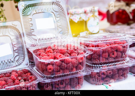 Himbeeren in Kunststoffbox im Supermarkt Stockfoto