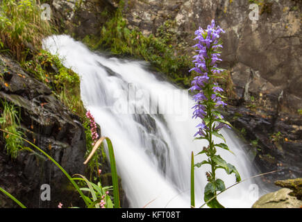 Dicks Creek Falls Stockfoto