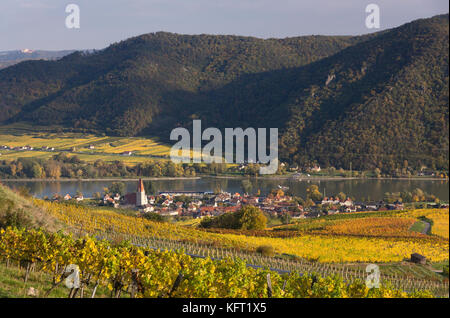 Herbstansicht auf Weißenkirchen in der Wachau mit gelben Reben - eine touristische Stadt an der Donau in der Wachau, Niederösterreich Stockfoto