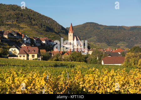 Ein herbstlicher Blick auf Weisenkirchen in der Wachau, Niederösterreich Stockfoto