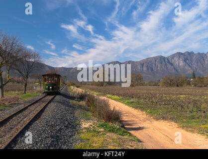 Wein Straßenbahn, Franschhoek, Westkap, Südafrika Stockfoto