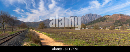 Wein Straßenbahnlinie und Weinbergen, Franschhoek, Westkap, Südafrika Stockfoto