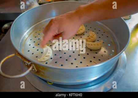 Person kochen ein momo Lebensmittel über eine metallische Fach in der Küche, die Art der Südasiatischen Knödel in Tibet, Nepal, Bhutan und Sikkim in Nepal Stockfoto