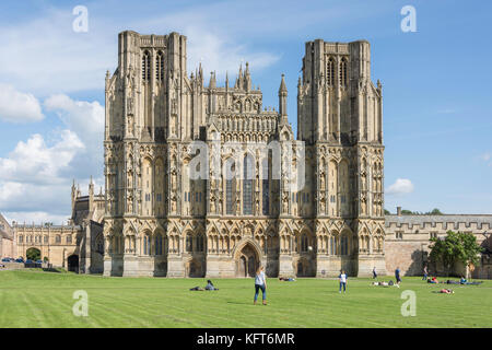 Kathedrale Westfassade der Kathedrale Grün, Wells, Somerset, England, Vereinigtes Königreich Stockfoto