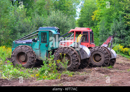 Zwei Timberjack skidder Protokollierung auf einem schlammigen Landung in den Adirondack Mountains, NY, USA Wald anmelden geparkt. Stockfoto