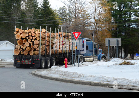 Traktoren Anhänger Lkw mit Logs um eine Ecke in der Spekulant, NY, USA in den Adirondack Mountains fahren geladen. Stockfoto