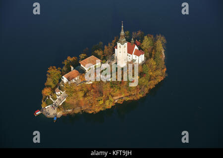 LUFTAUFNAHME. Bled Insel mit auffallenden Herbstfarben. Bleder See, Oberkrain, Slowenien. Stockfoto