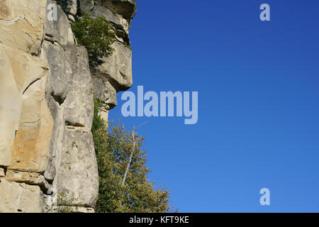 Natürliche Sandsteinfelsen, die wie das Profil eines Mannes aussehen. ANNOT, Alpes de Haute-Provence, Frankreich. Stockfoto