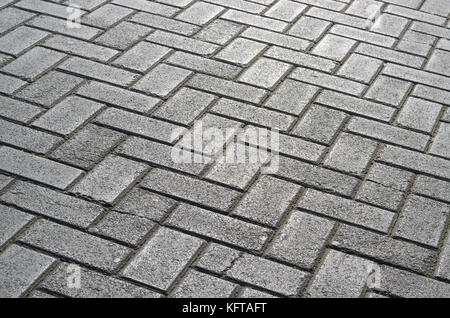 Detail der Fußgängerzone gepflastert mit Beton Ziegel Stockfoto