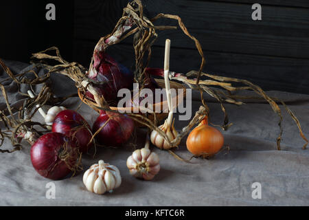 Immer noch leben der Zwiebel und Knoblauch Zwiebeln. Stockfoto