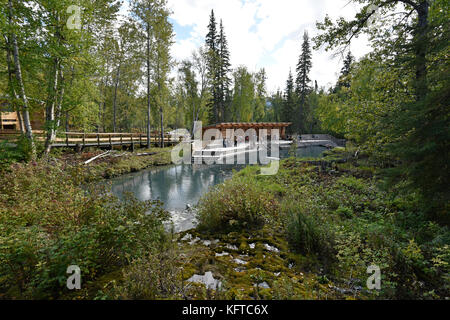 Liard River Hot Springs Provincial Park, British Columbia, Kanada Stockfoto