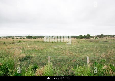 Feld in bridgehampton, NY Stockfoto