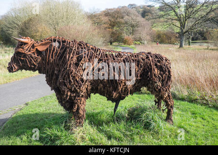 In der wilden Garten, ist 'Tarw' die Welsh Black Bull, Skulptur, von Sally Matthews. National Botanic Garden of Wales, Llanarthe, Carmarthenshire, Wales, Vereinigtes Königreich, Stockfoto