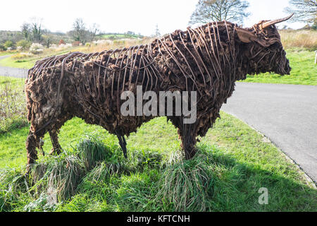 In der wilden Garten, ist 'Tarw' die Welsh Black Bull, Skulptur, von Sally Matthews. National Botanic Garden of Wales, Llanarthe, Carmarthenshire, Wales, Vereinigtes Königreich, Stockfoto