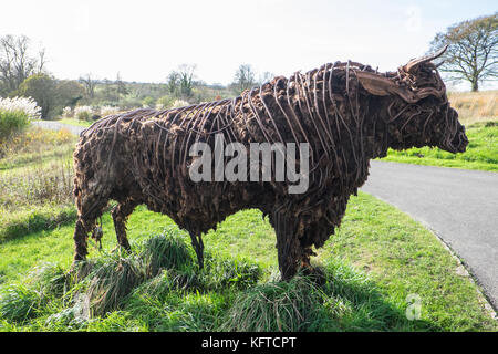 In der wilden Garten, ist 'Tarw' die Welsh Black Bull, Skulptur, von Sally Matthews. National Botanic Garden of Wales, Llanarthe, Carmarthenshire, Wales, Vereinigtes Königreich, Stockfoto