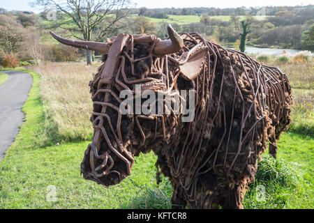 In der wilden Garten, ist 'Tarw' die Welsh Black Bull, Skulptur, von Sally Matthews. National Botanic Garden of Wales, Llanarthe, Carmarthenshire, Wales, Vereinigtes Königreich, Stockfoto