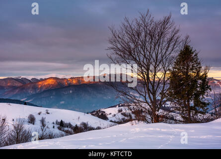 Bäume auf dem Schnee bedeckten Hügel bei Sonnenaufgang. Wunderschöne Bergrücken mit schneebedeckten oben in der Ferne Stockfoto