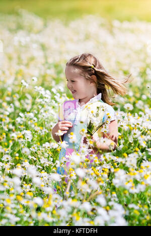 Kinder spielen im Daisy Feld. Mädchen pflücken frische Blumen Gänseblümchen Wiese am sonnigen Sommertag. Kinder im Freien spielen. Kinder Natur erkunden. Wenig gi Stockfoto