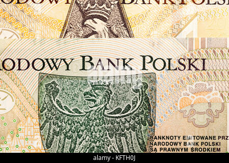 Polnische Geld close-up Stockfoto