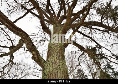 Gang mit dem Pavillon des Arsenal in der Stadt Puschkin in Stockfoto
