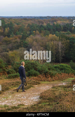 Man Walking im New Forest National Park im Herbst, Hampshire, Großbritannien Stockfoto