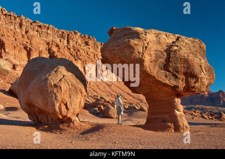 Balanced Rocks, Vermilion Cliffs am Paria Plateau in der Ferne, in der Nähe von Lees Ferry, Glen Canyon National Recreation Area, Arizona, USA Stockfoto