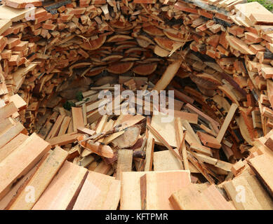 Großen Holzschuppen runde Form mit vielen Stücken Holz Schnitt zu warm up im Winter Stockfoto