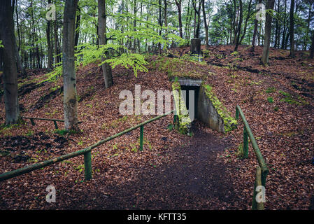 Ehemaliger Bunker im Wald auf der Insel Wolin, Woiwodschaft Westpommern in Polen Stockfoto