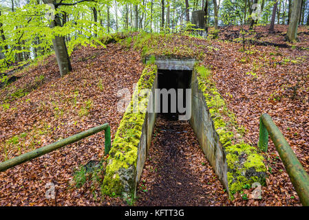 Ehemaliger Bunker im Wald auf der Insel Wolin, Woiwodschaft Westpommern in Polen Stockfoto