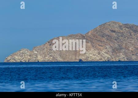 Fischen im Meer rund um San Pedro nolasco Insel, in der Nähe des Fischerdorf La Manga und San Carlos in Sonora, Mexiko und im Golf von Kalifornien Stockfoto