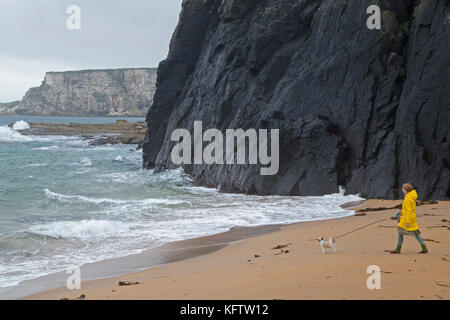 Frau mit Hund am Strand, Ballintoy, Co Antrim, Nordirland Stockfoto