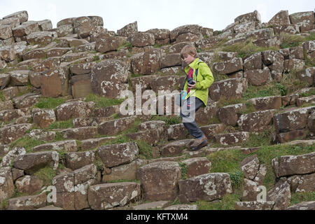 Basaltsäulen, Giants Causeway, Bushmills, Co Antrim, Nordirland Stockfoto