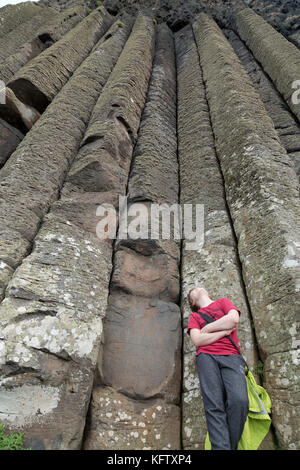 Orgelpfeifen, Giants Causeway, Bushmills, Co Antrim, Nordirland Stockfoto