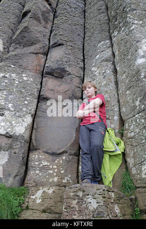 Orgelpfeifen, Giants Causeway, Bushmills, Co Antrim, Nordirland Stockfoto