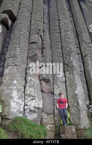 Orgelpfeifen, Giants Causeway, Bushmills, Co Antrim, Nordirland Stockfoto