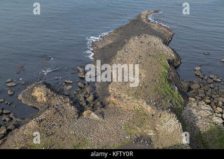 Basaltsäulen, Giants Causeway, Bushmills, Co Antrim, Nordirland Stockfoto