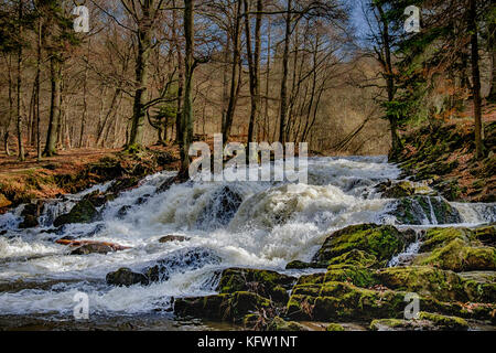 Harz Wasserfall der Selke bei Alexisbad im Harz mit Hochwasser Stockfoto