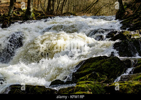 Harz Wasserfall der Selke bei Alexisbad im Harz mit Hochwasser Stockfoto