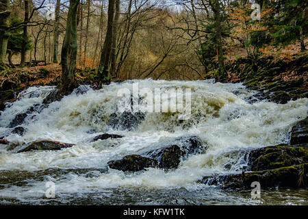 Harz Wasserfall der Selke bei Alexisbad im Harz mit Hochwasser Stockfoto